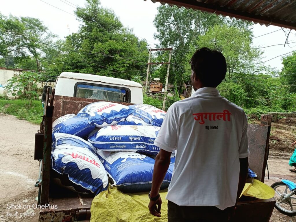 जुगाली पशु आहार