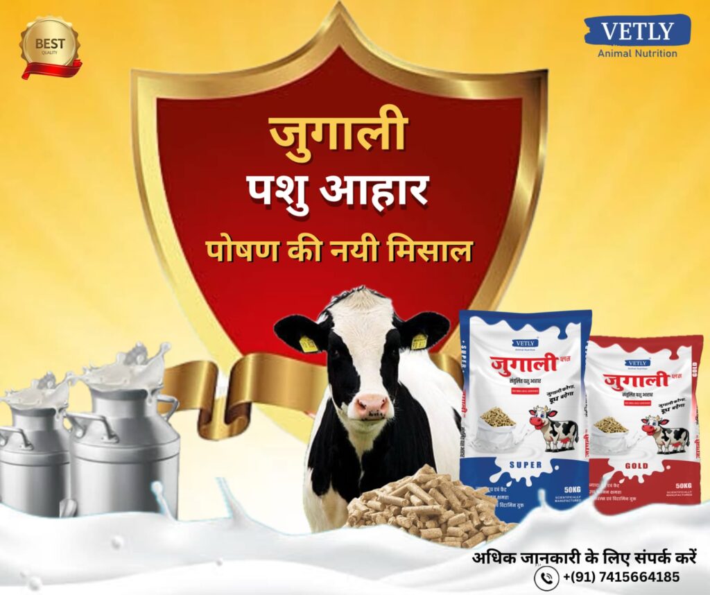 जुगाली पशु आहार