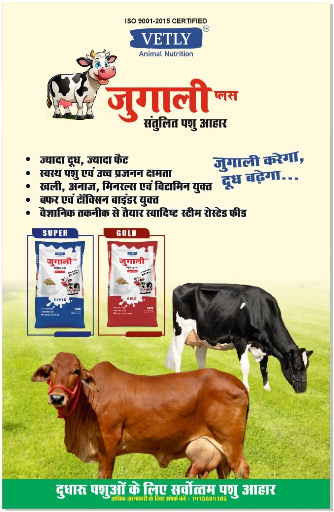 पशु आहार