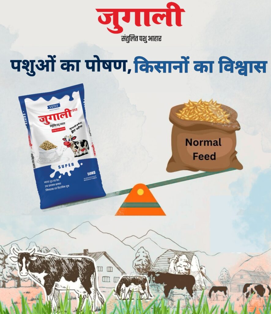 Best quality pashu aahar